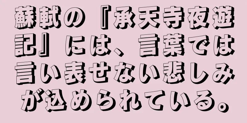 蘇軾の『承天寺夜遊記』には、言葉では言い表せない悲しみが込められている。