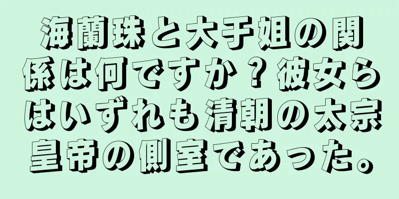 海蘭珠と大于姐の関係は何ですか？彼女らはいずれも清朝の太宗皇帝の側室であった。