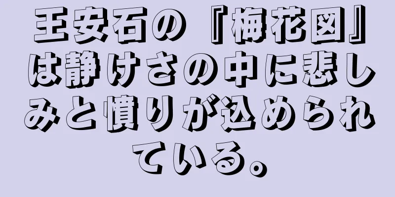 王安石の『梅花図』は静けさの中に悲しみと憤りが込められている。