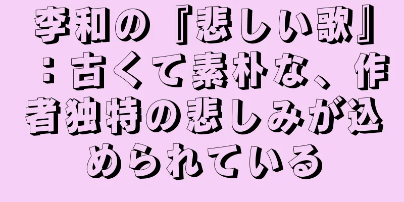 李和の『悲しい歌』：古くて素朴な、作者独特の悲しみが込められている
