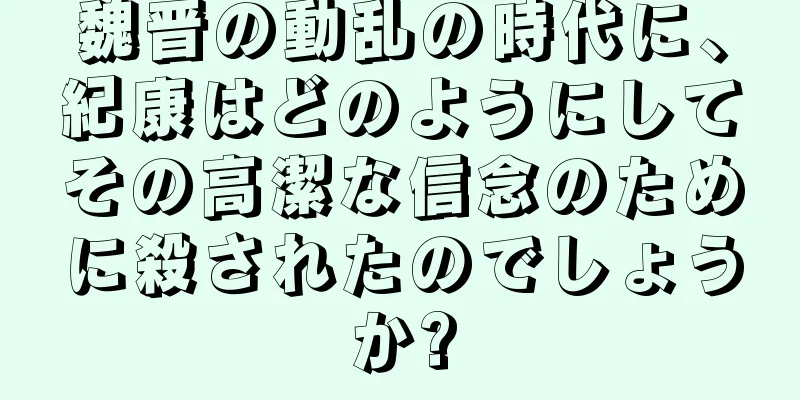 魏晋の動乱の時代に、紀康はどのようにしてその高潔な信念のために殺されたのでしょうか?