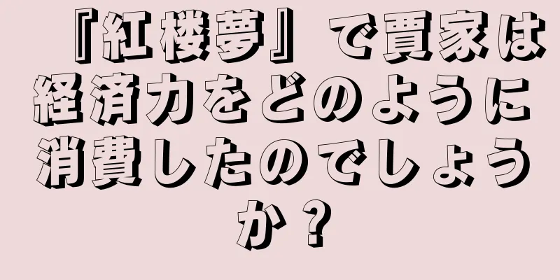『紅楼夢』で賈家は経済力をどのように消費したのでしょうか？