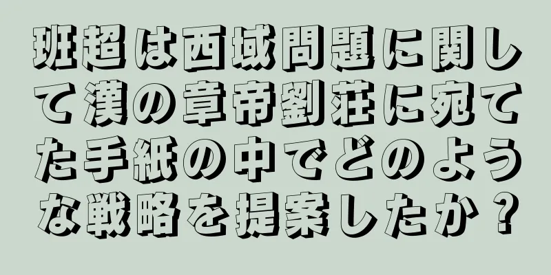 班超は西域問題に関して漢の章帝劉荘に宛てた手紙の中でどのような戦略を提案したか？