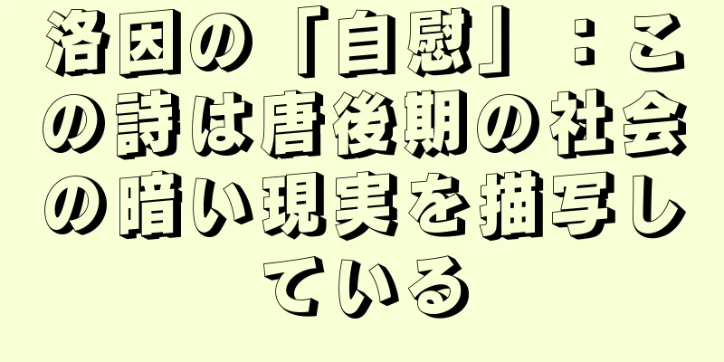 洛因の「自慰」：この詩は唐後期の社会の暗い現実を描写している