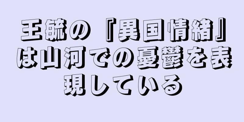 王毓の『異国情緒』は山河での憂鬱を表現している