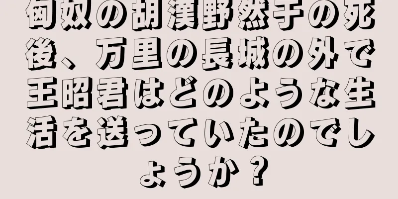 匈奴の胡漢野然于の死後、万里の長城の外で王昭君はどのような生活を送っていたのでしょうか？