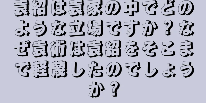 袁紹は袁家の中でどのような立場ですか？なぜ袁術は袁紹をそこまで軽蔑したのでしょうか？
