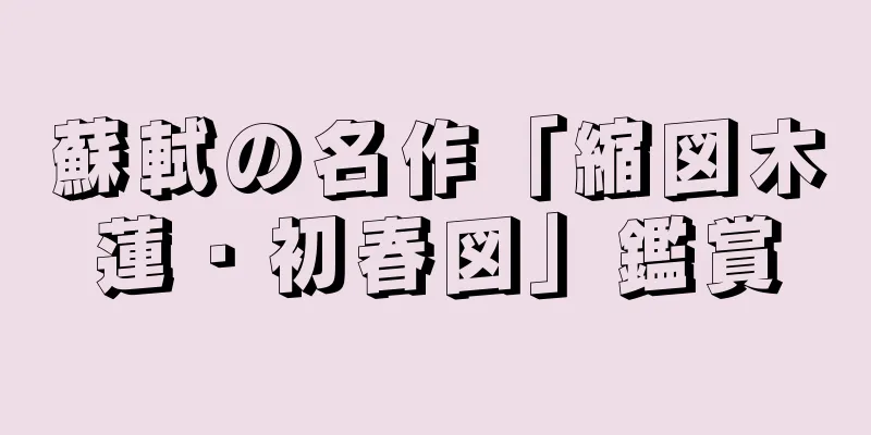 蘇軾の名作「縮図木蓮・初春図」鑑賞