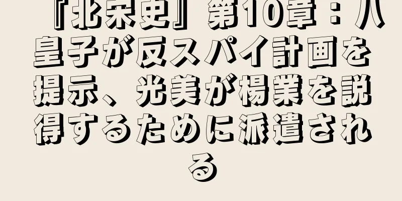 『北宋史』第10章：八皇子が反スパイ計画を提示、光美が楊業を説得するために派遣される