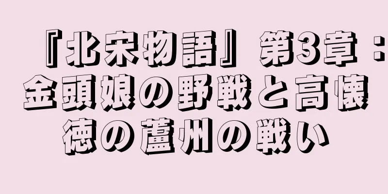 『北宋物語』第3章：金頭娘の野戦と高懐徳の蘆州の戦い