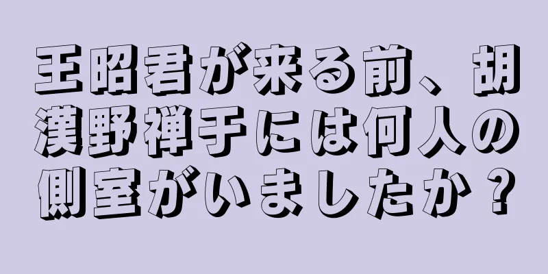 王昭君が来る前、胡漢野禅于には何人の側室がいましたか？