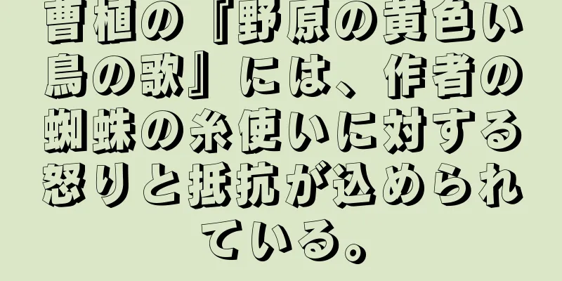 曹植の『野原の黄色い鳥の歌』には、作者の蜘蛛の糸使いに対する怒りと抵抗が込められている。