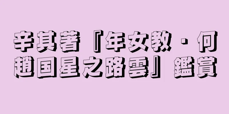 辛其著『年女教・何趙国星之路雲』鑑賞