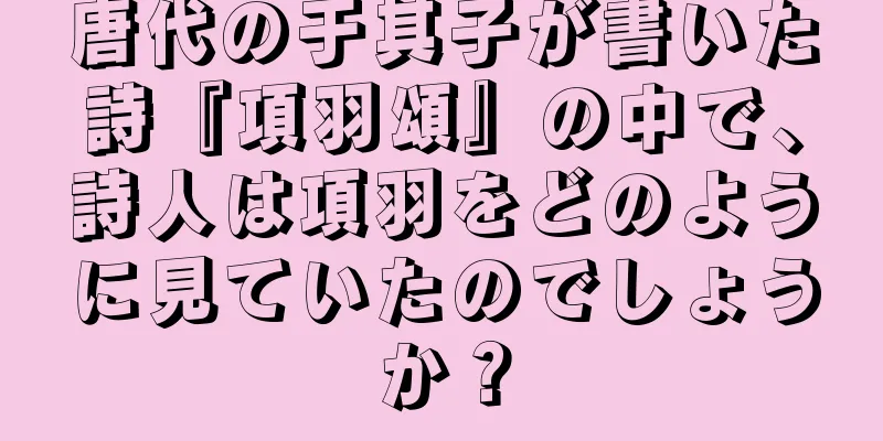 唐代の于其子が書いた詩『項羽頌』の中で、詩人は項羽をどのように見ていたのでしょうか？