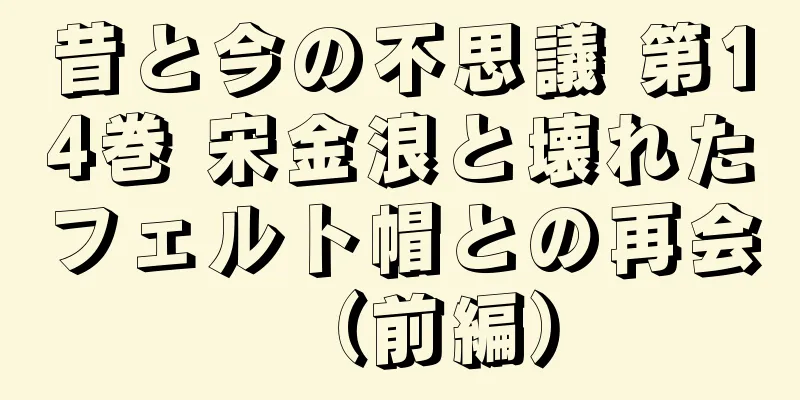 昔と今の不思議 第14巻 宋金浪と壊れたフェルト帽との再会（前編）