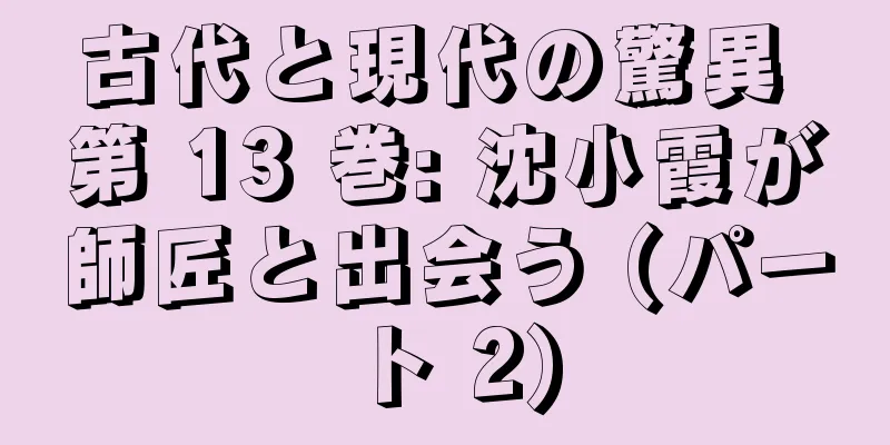 古代と現代の驚異 第 13 巻: 沈小霞が師匠と出会う (パート 2)