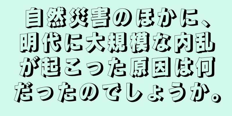 自然災害のほかに、明代に大規模な内乱が起こった原因は何だったのでしょうか。
