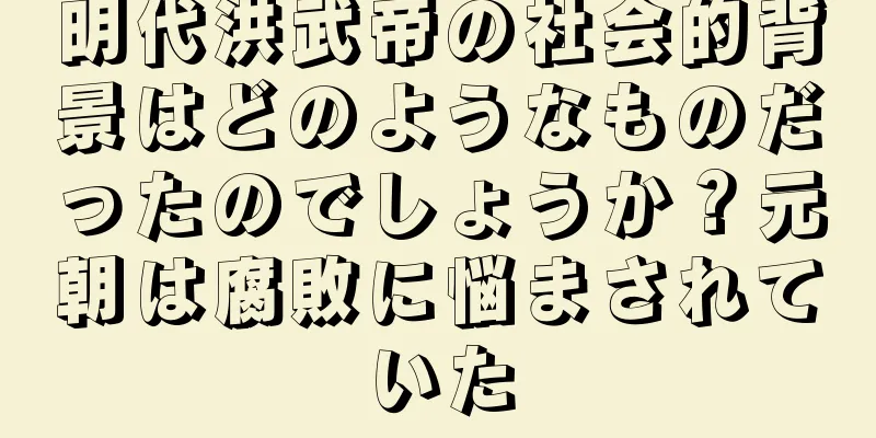 明代洪武帝の社会的背景はどのようなものだったのでしょうか？元朝は腐敗に悩まされていた