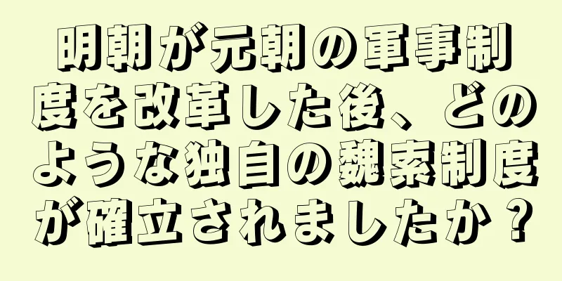 明朝が元朝の軍事制度を改革した後、どのような独自の魏索制度が確立されましたか？