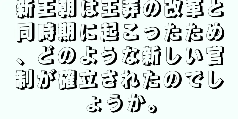 新王朝は王莽の改革と同時期に起こったため、どのような新しい官制が確立されたのでしょうか。