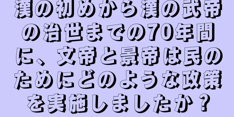 漢の初めから漢の武帝の治世までの70年間に、文帝と景帝は民のためにどのような政策を実施しましたか？