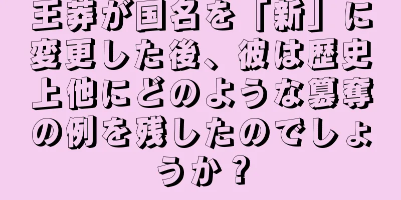 王莽が国名を「新」に変更した後、彼は歴史上他にどのような簒奪の例を残したのでしょうか？
