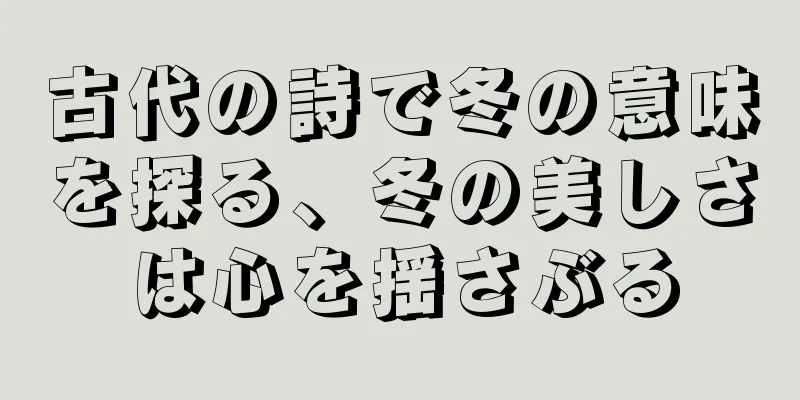 古代の詩で冬の意味を探る、冬の美しさは心を揺さぶる