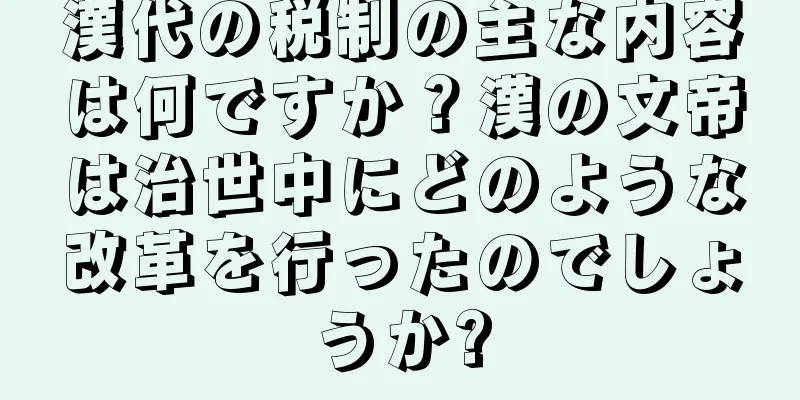 漢代の税制の主な内容は何ですか？漢の文帝は治世中にどのような改革を行ったのでしょうか?