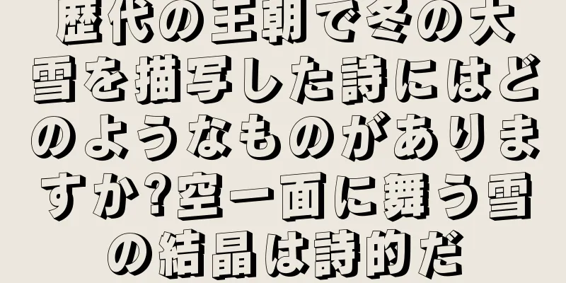 歴代の王朝で冬の大雪を描写した詩にはどのようなものがありますか?空一面に舞う雪の結晶は詩的だ