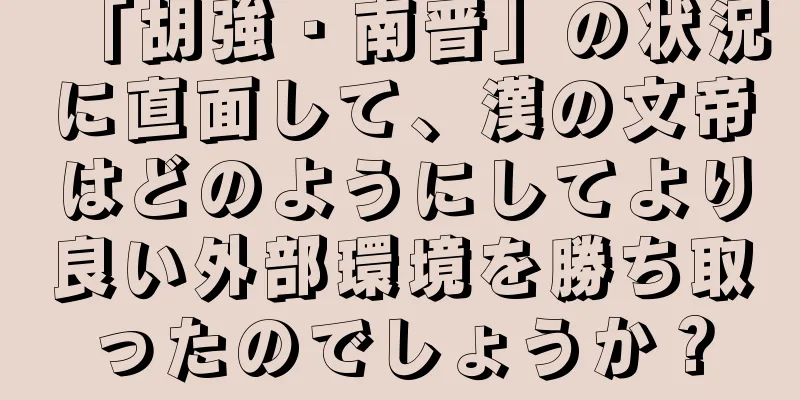 「胡強・南晋」の状況に直面して、漢の文帝はどのようにしてより良い外部環境を勝ち取ったのでしょうか？