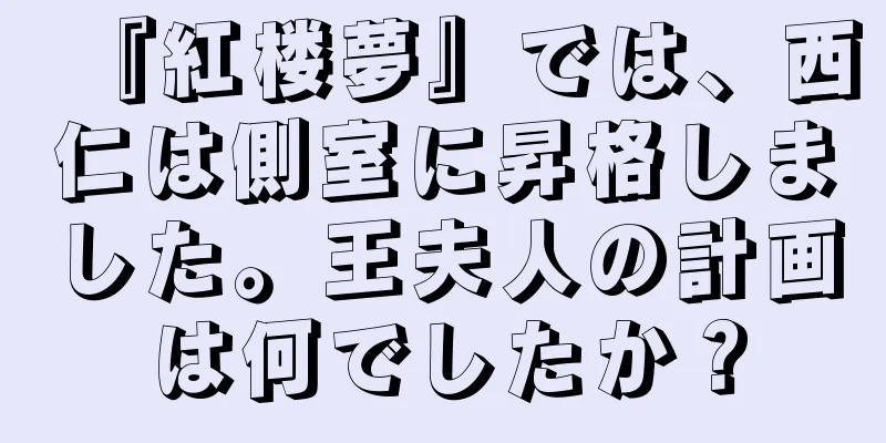 『紅楼夢』では、西仁は側室に昇格しました。王夫人の計画は何でしたか？
