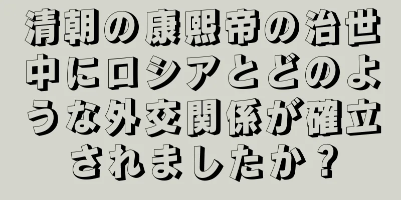 清朝の康熙帝の治世中にロシアとどのような外交関係が確立されましたか？