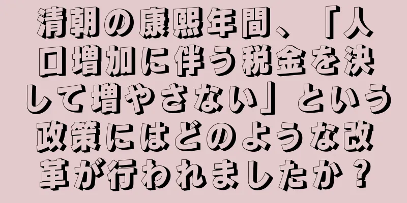 清朝の康熙年間、「人口増加に伴う税金を決して増やさない」という政策にはどのような改革が行われましたか？