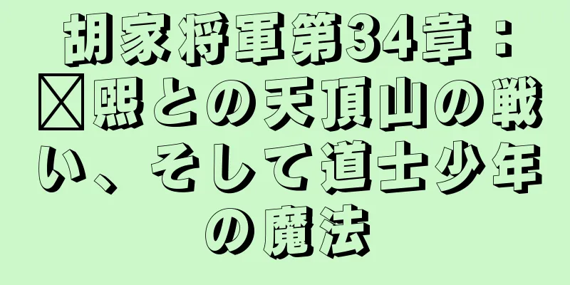 胡家将軍第34章：龐煕との天頂山の戦い、そして道士少年の魔法