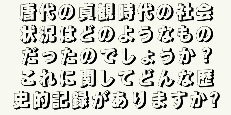 唐代の貞観時代の社会状況はどのようなものだったのでしょうか？これに関してどんな歴史的記録がありますか?