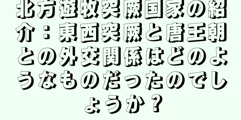 北方遊牧突厥国家の紹介：東西突厥と唐王朝との外交関係はどのようなものだったのでしょうか？