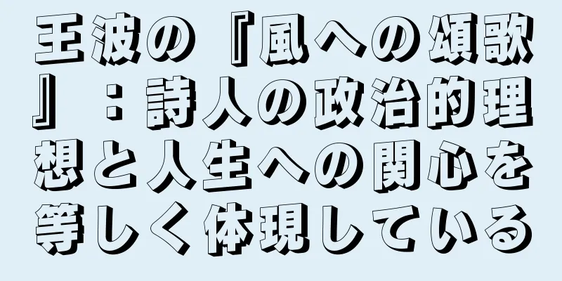 王波の『風への頌歌』：詩人の政治的理想と人生への関心を等しく体現している