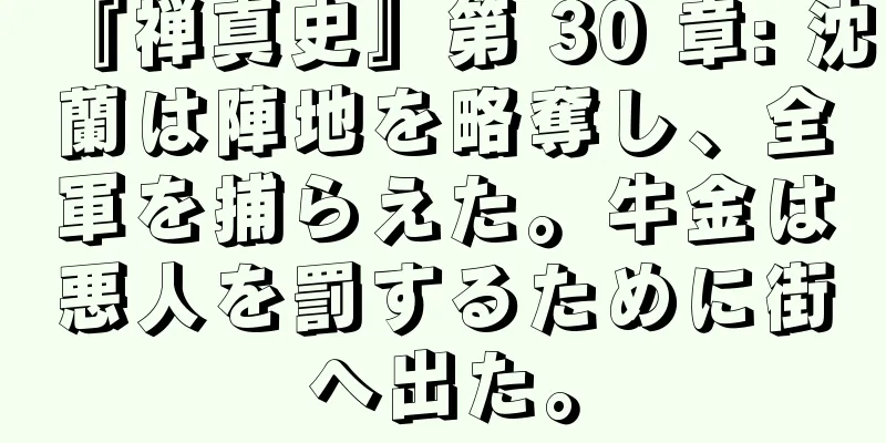 『禅真史』第 30 章: 沈蘭は陣地を略奪し、全軍を捕らえた。牛金は悪人を罰するために街へ出た。
