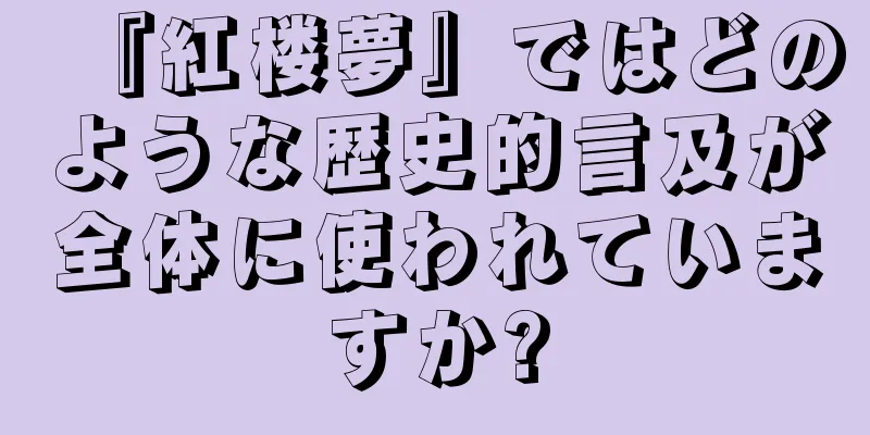 『紅楼夢』ではどのような歴史的言及が全体に使われていますか?