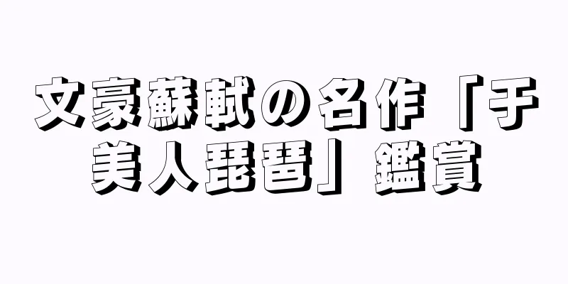 文豪蘇軾の名作「于美人琵琶」鑑賞