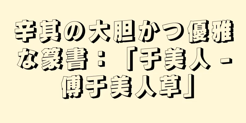 辛其の大胆かつ優雅な篆書：「于美人 - 傅于美人草」