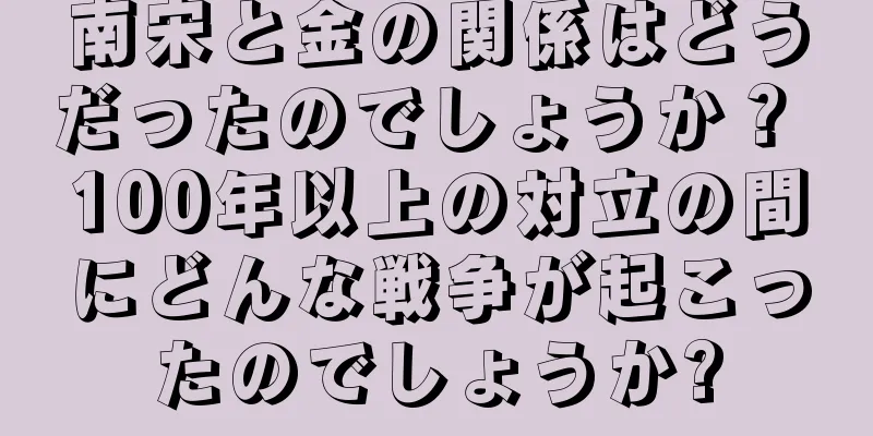 南宋と金の関係はどうだったのでしょうか？ 100年以上の対立の間にどんな戦争が起こったのでしょうか?