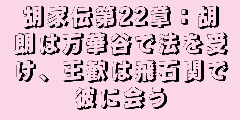 胡家伝第22章：胡朗は万華谷で法を受け、王歓は飛石関で彼に会う