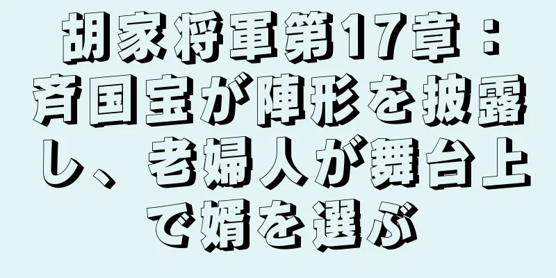 胡家将軍第17章：斉国宝が陣形を披露し、老婦人が舞台上で婿を選ぶ