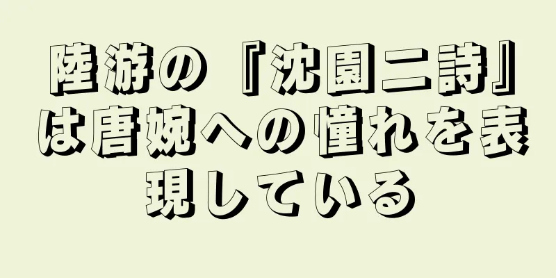 陸游の『沈園二詩』は唐婉への憧れを表現している