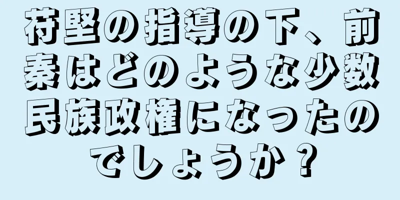 苻堅の指導の下、前秦はどのような少数民族政権になったのでしょうか？