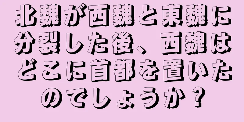 北魏が西魏と東魏に分裂した後、西魏はどこに首都を置いたのでしょうか？