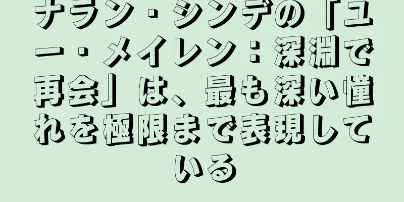 ナラン・シンデの「ユー・メイレン：深淵で再会」は、最も深い憧れを極限まで表現している