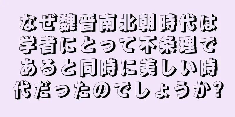 なぜ魏晋南北朝時代は学者にとって不条理であると同時に美しい時代だったのでしょうか?