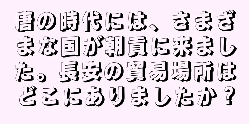 唐の時代には、さまざまな国が朝貢に来ました。長安の貿易場所はどこにありましたか？